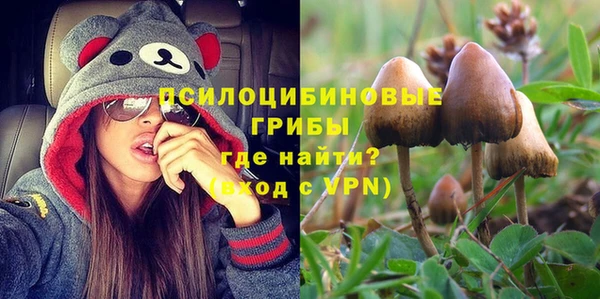 mdpv Беломорск