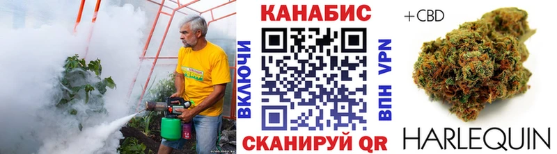 Конопля Bruce Banner Яровое